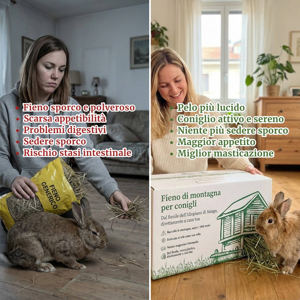 KEFIENO BOX - Fieno Premium dell'Altopiano di Asiago a 1000m